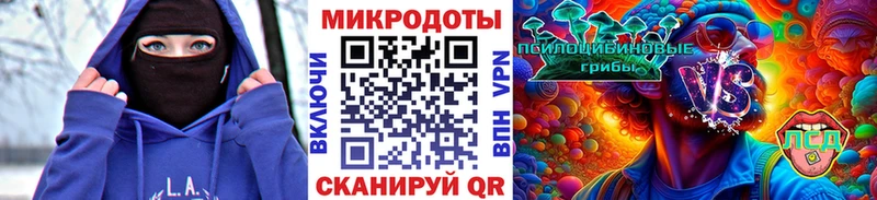 Псилоцибиновые грибы MAGIC MUSHROOMS  купить наркоту  hydra маркетплейс  Поворино 